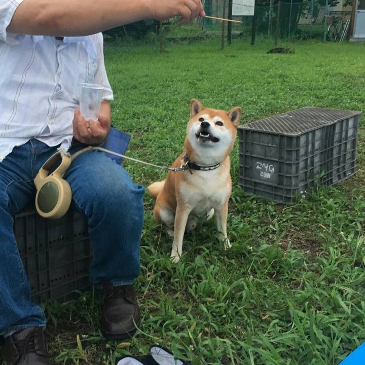 E1f89e4d 7c7a 42fb 9b58 a78a4a969c96