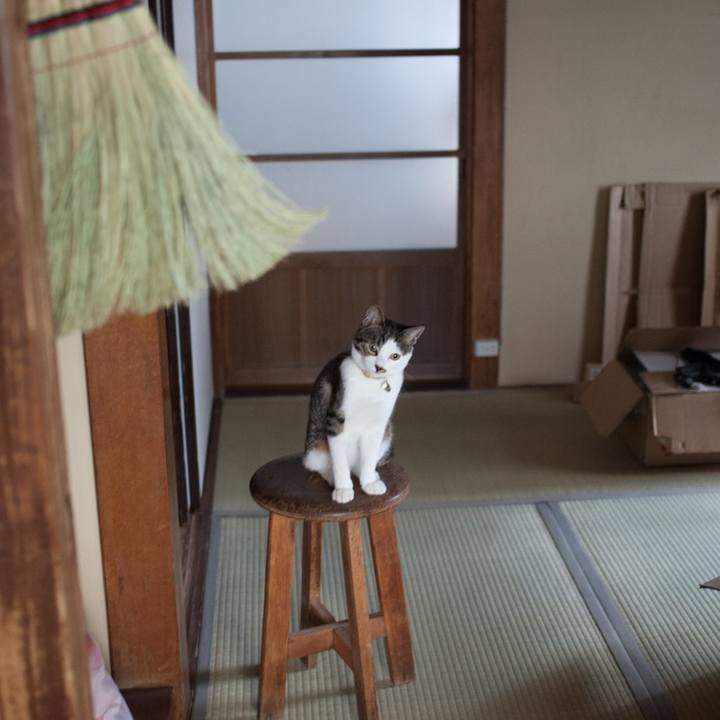 E1f8ac97 30f0 49fc 9a16 13f41da9f5a8