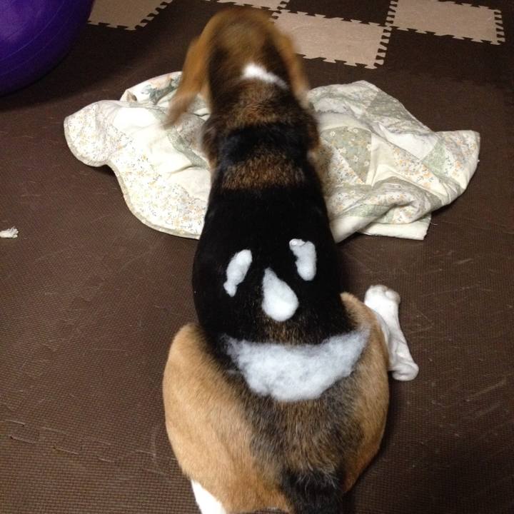 E1f8b984 14b0 4c45 8645 275c8eab0322