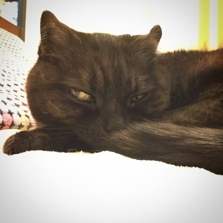 E1f8daec f3b9 4a80 bf88 9d2fbb5177c8