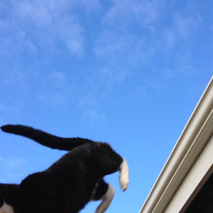 E1f8ece9 d1fa 404b bbc0 30203bdc0d95