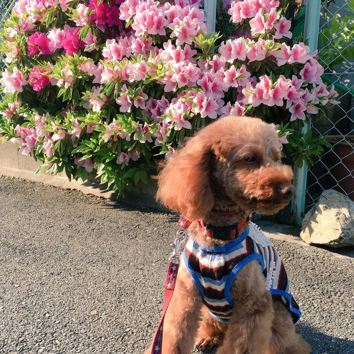 E1f8f2e1 ef1d 4d6a 8dae e9d24749703b