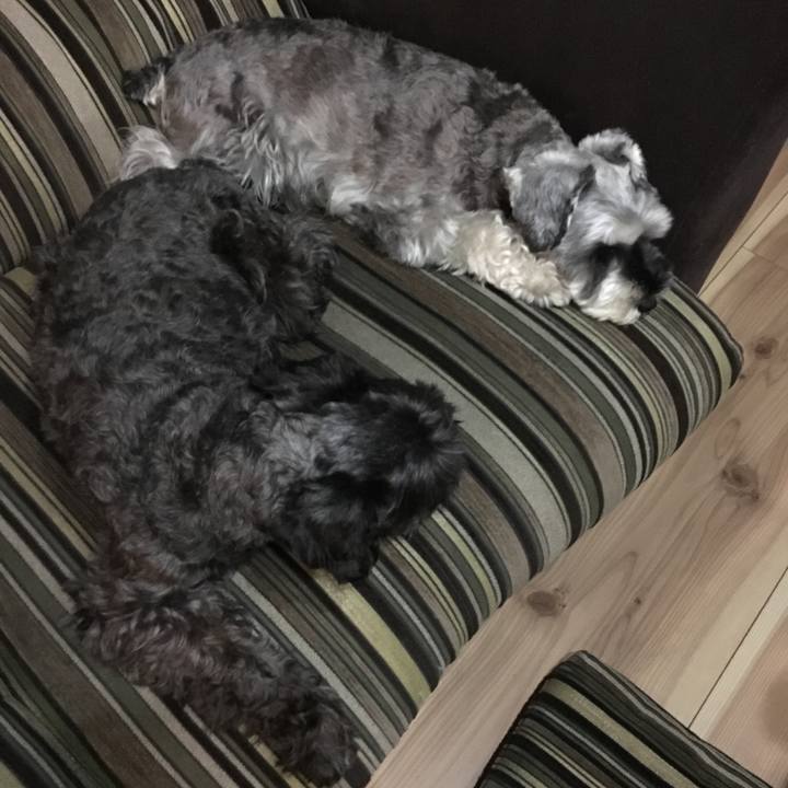 E1fa004e e675 4b91 bca1 e5971df8c568