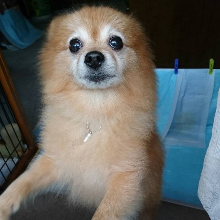 E1facc8c 9a06 4381 9c5a d102aada2e8e