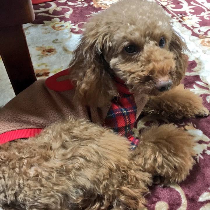 E1fafc5f 5ae7 4043 b833 50f185fca894