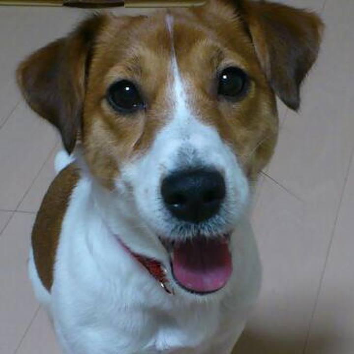 E1fb8c7e c59e 4893 ba0a 02d6de0d5443