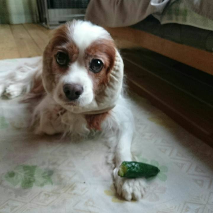 E1fbc559 4b4d 4c1b b6bb bc61fd507c55