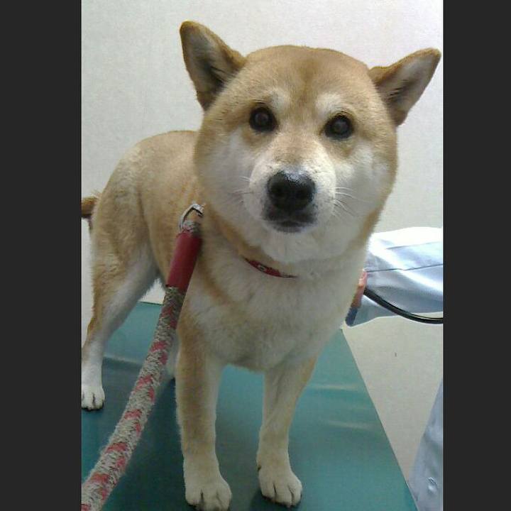 E1fc569d 4f56 4de5 ae35 97af31739a59