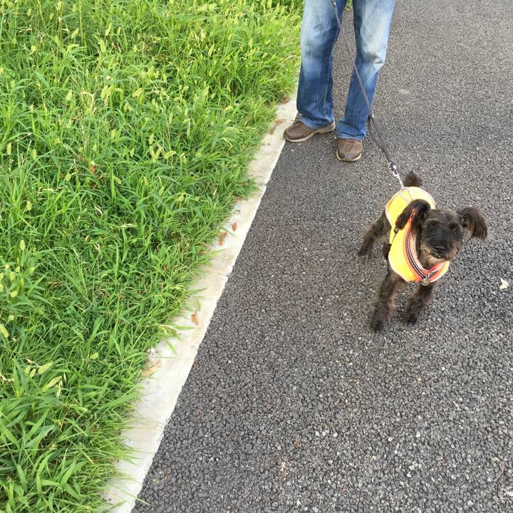 E1fc87bc 1b6e 4e9b b8e2 3052dcc39083