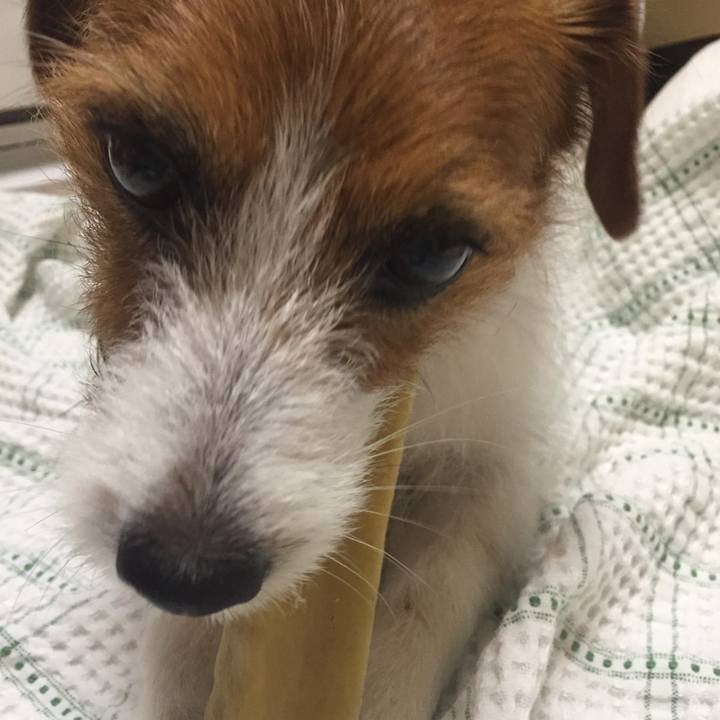 E1fce368 1252 49de a388 5e002ea1c731