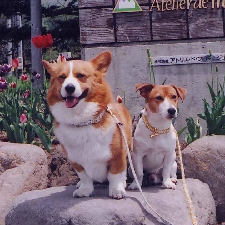 E1fd45e6 f3e9 4b13 bab5 00e7391b273a