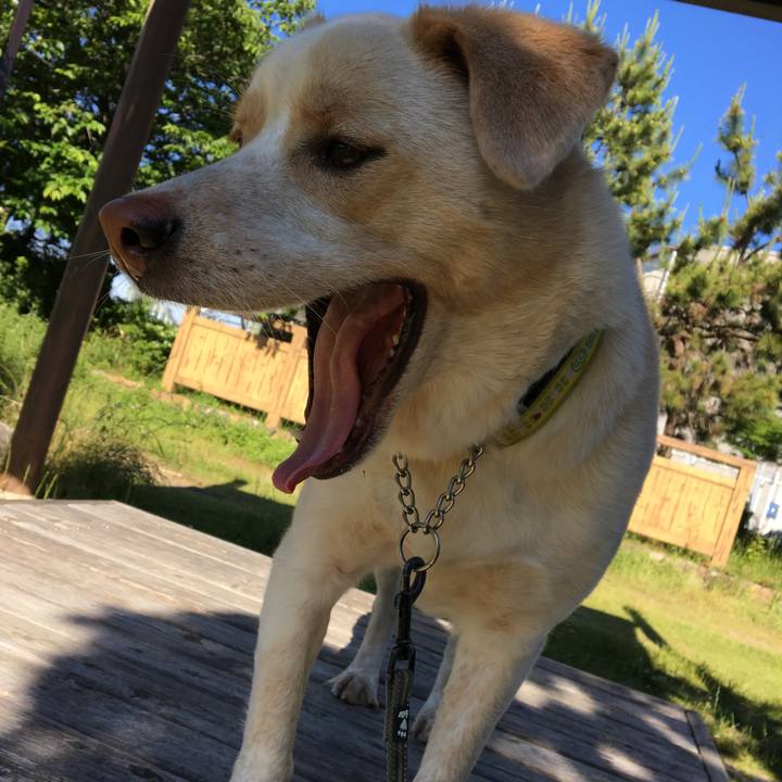 E1fda2ce b7cc 4235 b722 e2cfc1d750fc