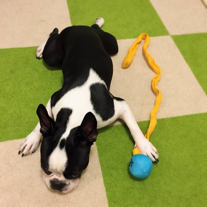 E1fef05d 05c9 4db9 87c1 2fc8e7f3de2f