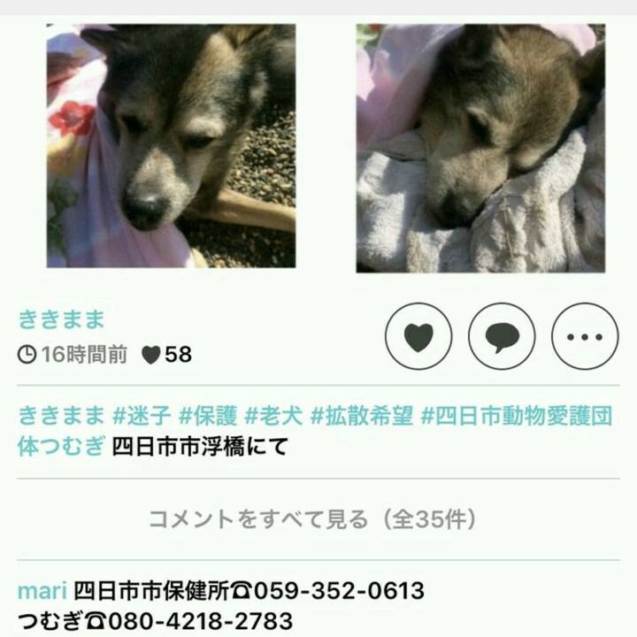 E1fef317 05c0 4cc8 93d3 c458e8815f60