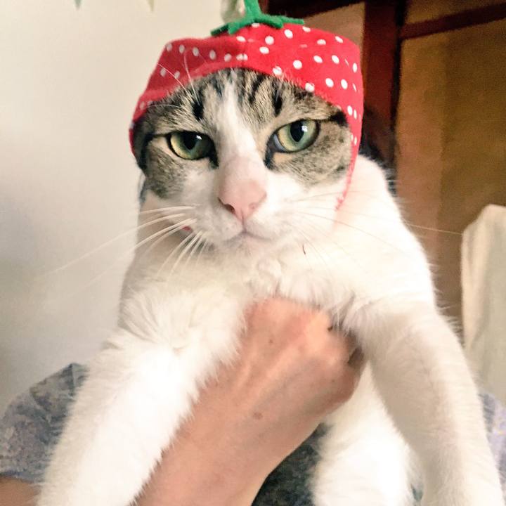 E1ff04fb 2dae 4606 be48 feeb272e96df