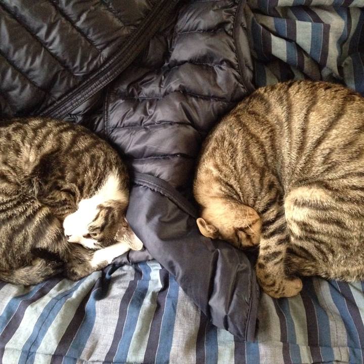 E1ff4eb3 9792 4d35 ac71 4e96a9ea3ba8