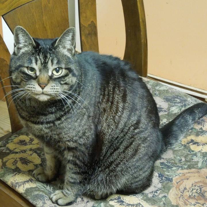 E1ffc7f6 243a 430e 91b6 e0dd416f37fe