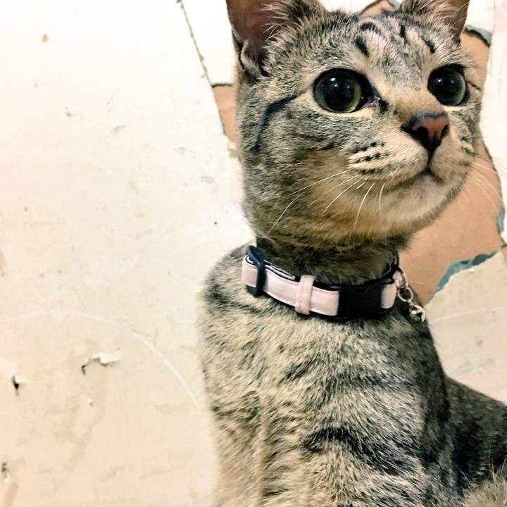 E2008d8a 59ca 4267 8f12 860a516cecbd