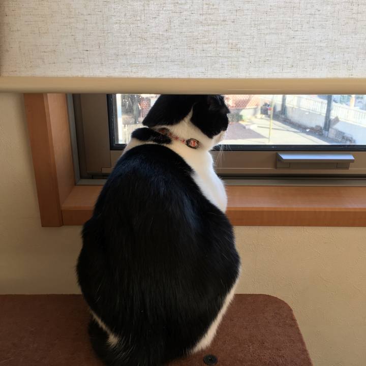 E200c709 ed48 4200 aa02 e4a189bb9c40