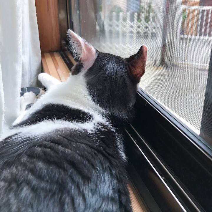 E20107b3 02e4 44bc b548 ee029a527738