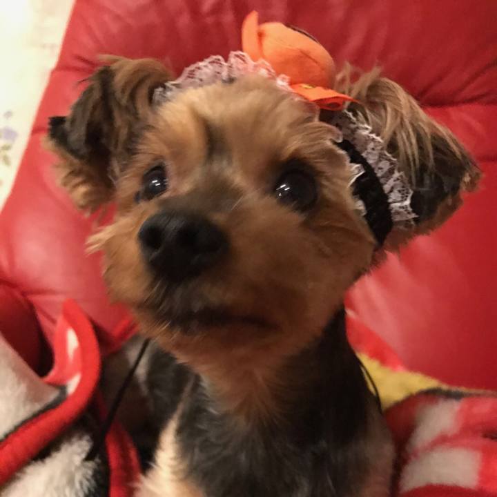 E201382e e113 44fe 9dc7 79124634ca8b