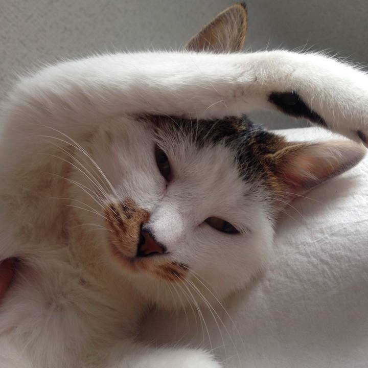 E2016d75 f848 46d9 9643 ec382313d798