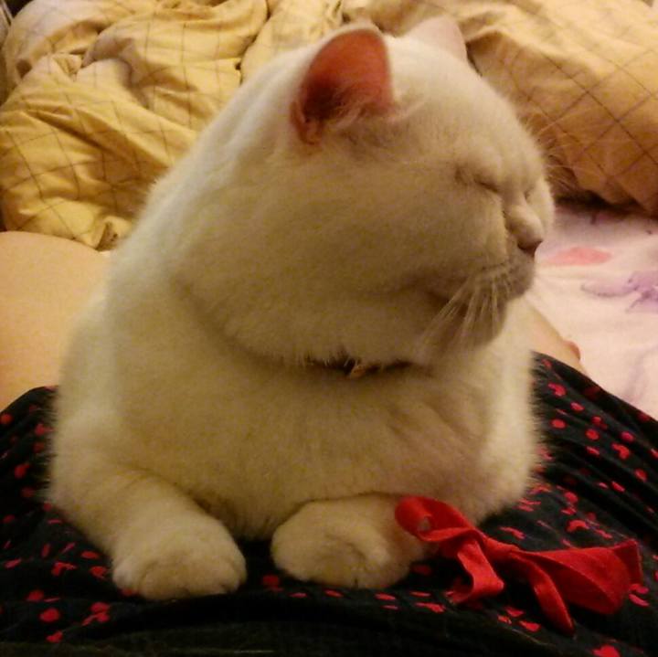 E20240db 4bbb 4030 937d 47a8b45d7617