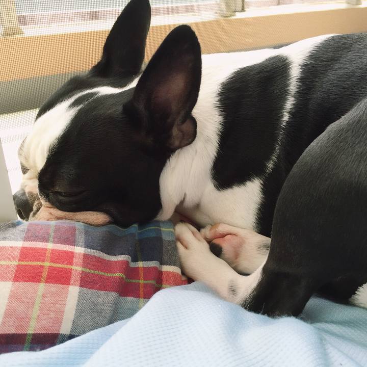 E2034ac4 700a 407a a142 f77378f0cb0b