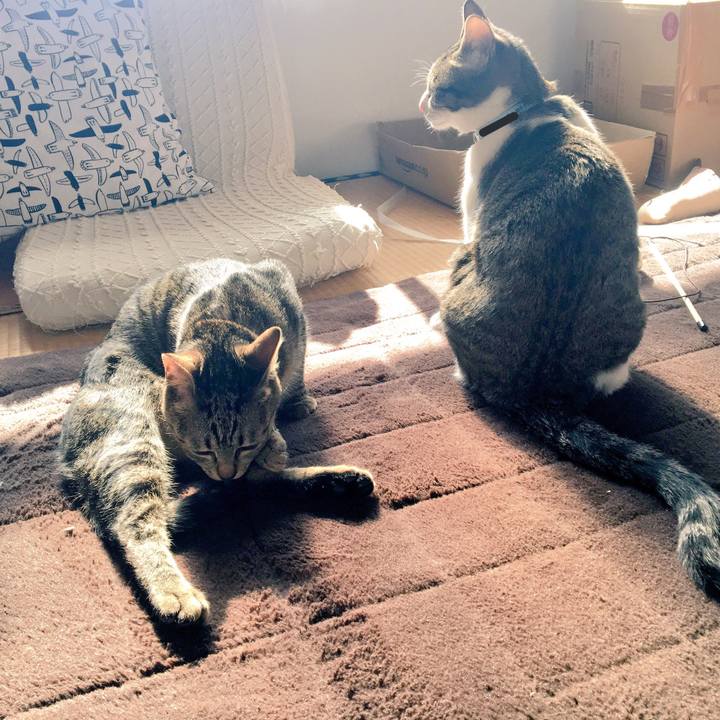 E2037eab c508 49ac 8fdb f3624e0e1fd5