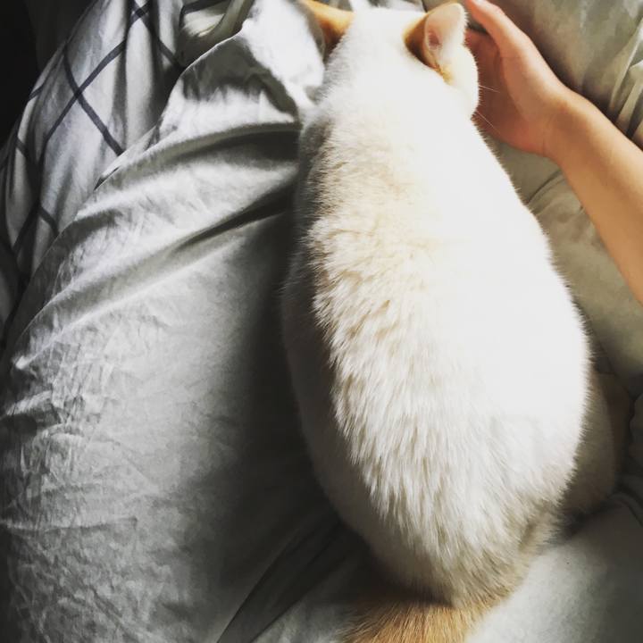 E203d6c3 df32 4be7 bdde 076792da969f