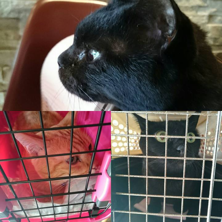 E203f36e 6a89 479e adf2 bee97c7b3697