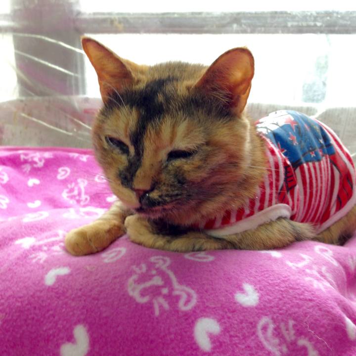 E2041adf 75a6 42b1 b677 c5c673355701