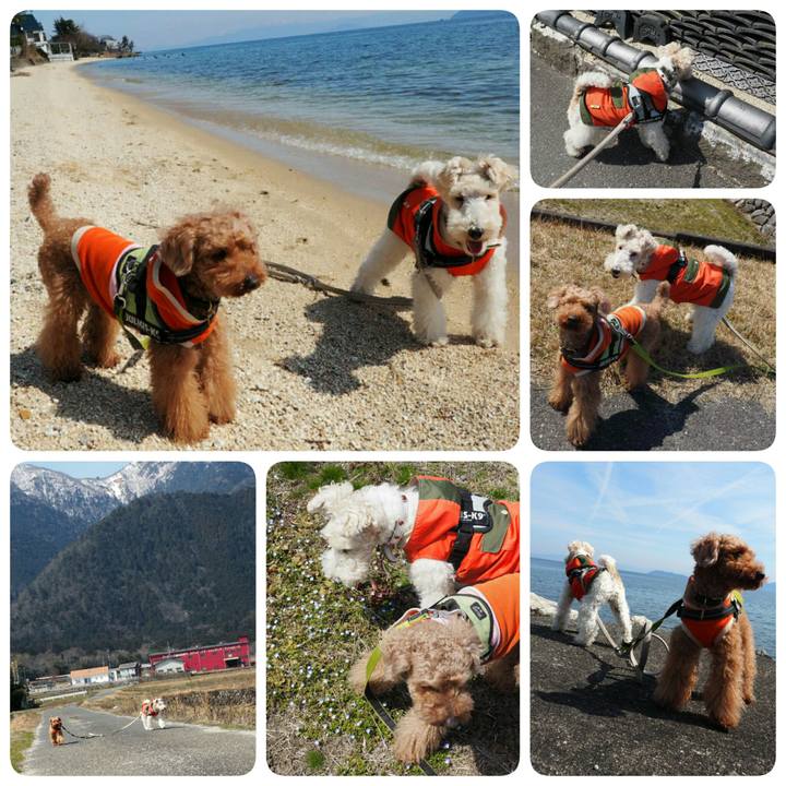 E2041dfd cb39 4491 8858 ae6e56989042