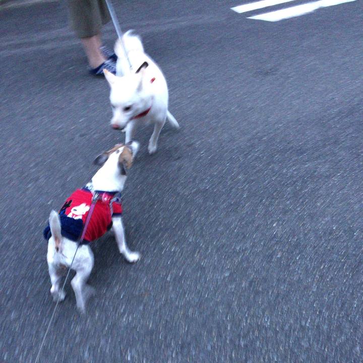 E2049081 556e 44b9 83d4 c22c268aa1cb