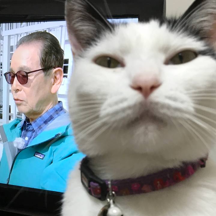 E204aa87 cec4 4f4c 92aa d57fb9fd9d84