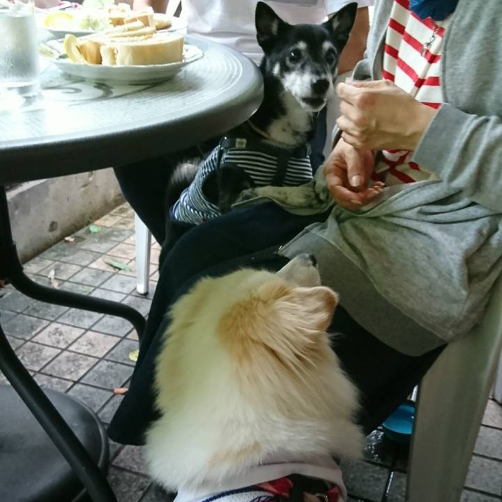 E2057de6 aa96 4e42 bffa f345e1e9779f