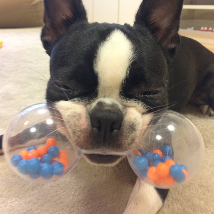 E20587ad 9e06 400a 8a56 71d33a102b58