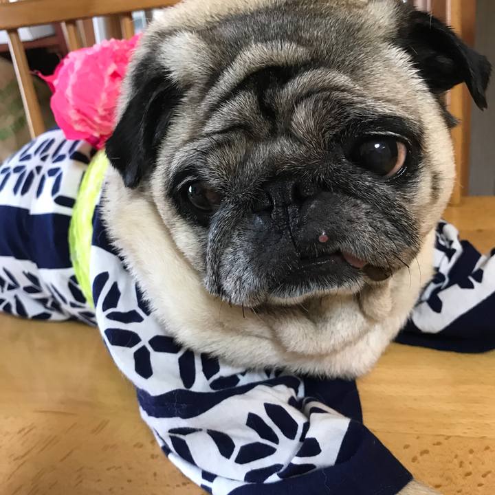 E205bd0e 26f6 4757 8ba3 2ad90d419ad2