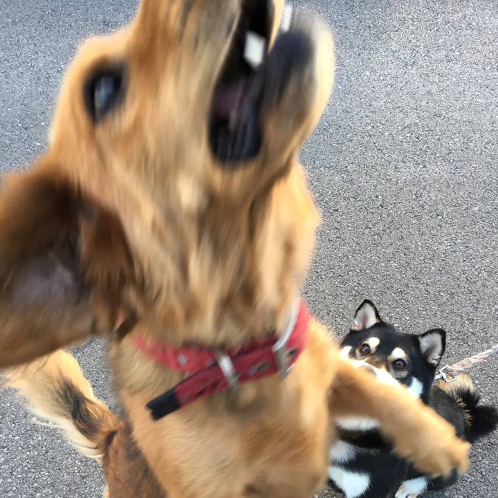 E205dd08 07e2 477b 9f14 0c780aa18eb6