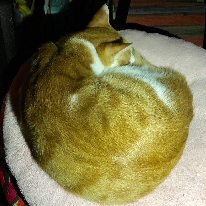 E2063b23 e837 42f8 ad64 c81c55becdff