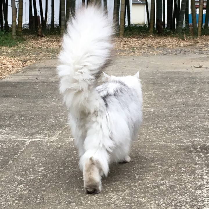 E20648f0 d974 4251 beec d6cd97702867