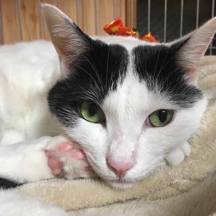 E2064dbc 2edf 4117 a02e 73770768dbde