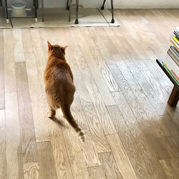 E207c851 cc2e 4ec9 9c31 d22acd72f950