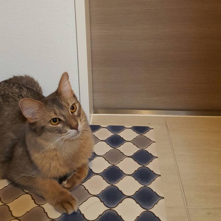 E2085fb3 6953 40ca 9b11 41ddc0164df3