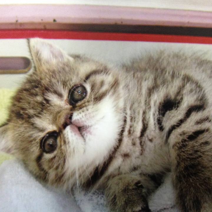 E2086086 5b98 4839 958b 2f2a1157ed31