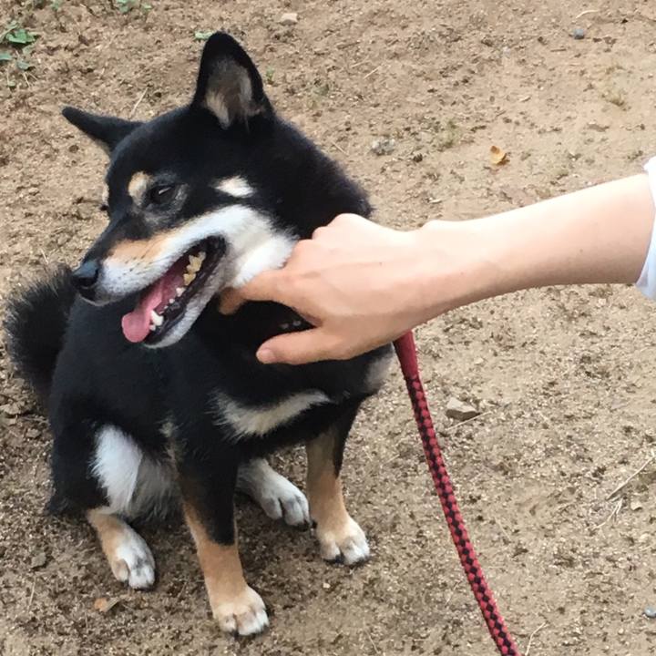 E208cd65 a45f 4848 a2a5 784ffe6f964d