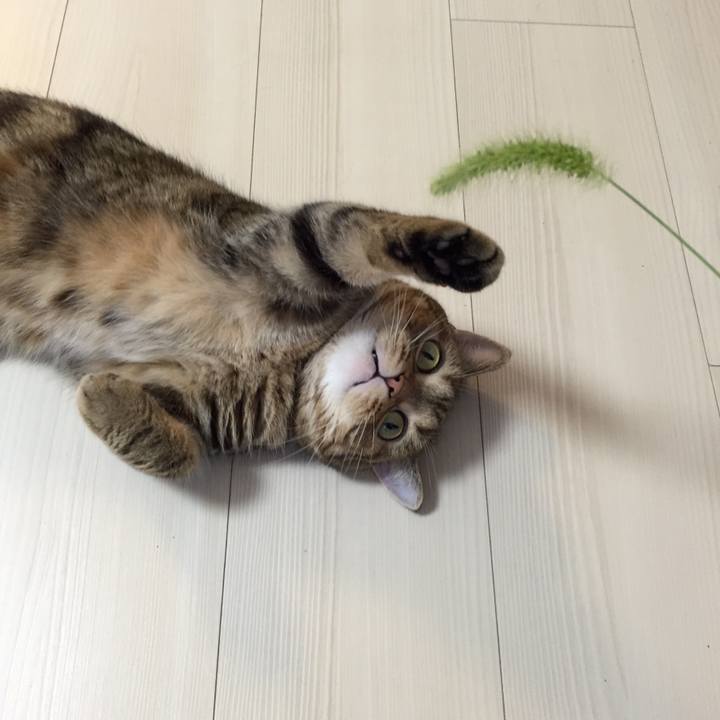 E2097905 b910 43cc 803a 7188695f1dfa