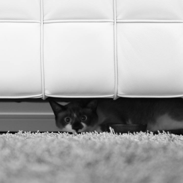 E209b878 a833 411e a875 3f3668f66fef