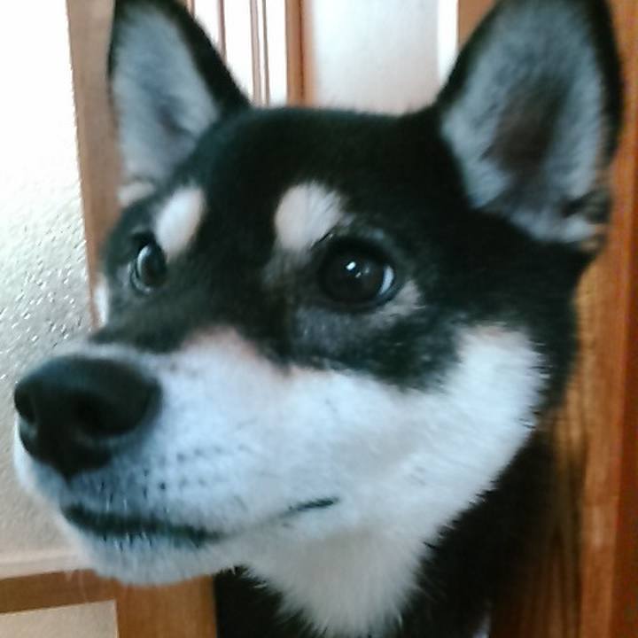 E20a54b5 05a3 415d 84ad 79d72ca602d8