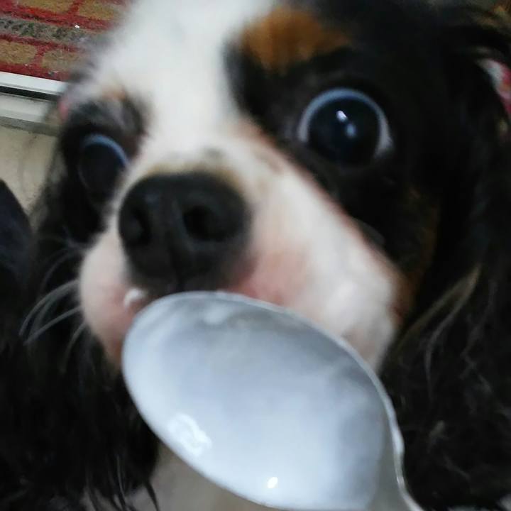 E20a5a2a 5d0d 4020 8927 5cc8dc06dc65